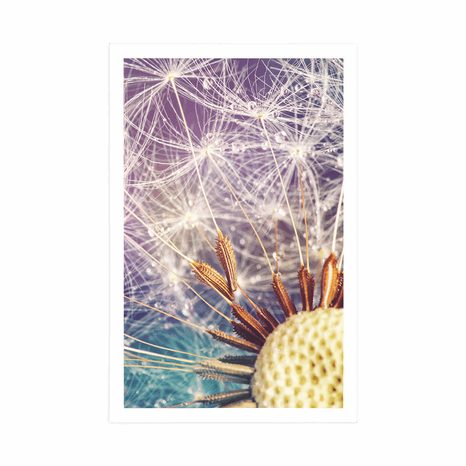 POSTER DETAILLIERTE PUSTEBLUME - BLUMEN - POSTER