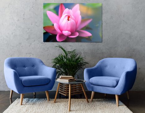 WANDBILD SCHÖNE ROSA BLUME AUF DEM SEE - BILDER BLUMEN - BILDER