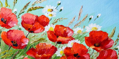 OBRAZ ČERVENÉ MÁKY V POLI - OBRAZY KVĚTŮ - OBRAZY