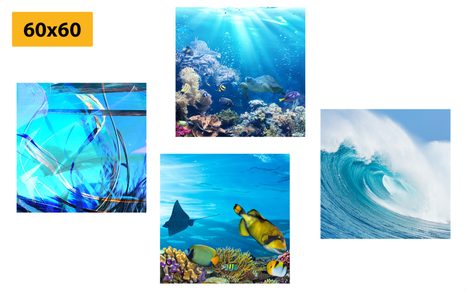 BILDER-SET LEBEN UNTER WASSER - BILDERSETS - BILDER