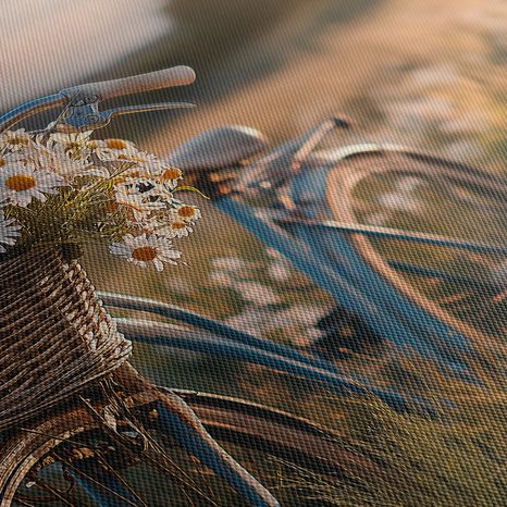 WANDBILD FAHRRAD MIT BLUMEN AUF DER WIESE - BILDER - 🔥 TOTALAUSVERKAUF