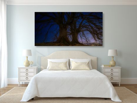 КАРТИНА НА ПЛАТНО – ДЪРВЕТА В НОЩНАТА ЗЕМЯ - КАРТИНИ НА ПРИРОДАТА И ПЕЙЗАЖИ - КАРТИНИ