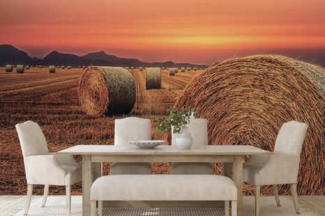 SAMOLEPÍCÍ FOTOTAPETA BALÍKY SENA - SAMOLEPÍCÍ TAPETY - TAPETY