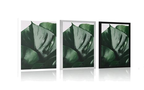 AFFICHE – FEUILLE DE MONSTERA - FLEURS - AFFICHES