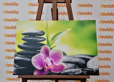 OBRAZ MEDITAČNÍ ZEN KOMPOZICE - OBRAZY FENG SHUI - OBRAZY