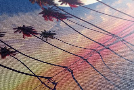 OBRAZ ZACHÓD SŁOŃCA NAD TROPIKALNYMI PALMAMI - OBRAZY PRZYRODY I KRAJOBRAZY - OBRAZY