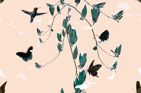 SAMOLEPÍCÍ TAPETA KRÁSNÉ MOTÝLY V PŘÍRODĚ - SAMOLEPÍCÍ TAPETY - TAPETY