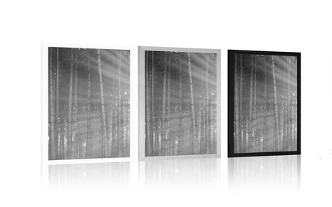 PLAKAT SONCE ZA DREVESI V ČRNOBELI VARIANTI - ČRNOBELI - PLAKATI