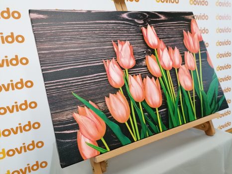 KÉP ELBŰVÖLŐ NARANCSSÁRGA TULIPÁNOK FÁBÓL KÉSZÜLT HÁTTÉREN - KÉPEK - 🔥 TELJES KIÁRUSÍTÁS