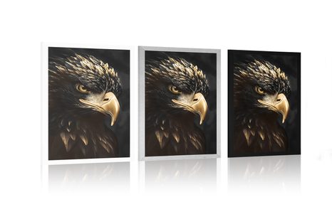 POSTER VULTUR NEGRU ȘI AURIU - CONDUCĂTORII REGNULUI ANIMAL - POSTERE