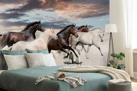 CARTA DA PARATI – MANDRIA DI CAVALLI - CARTA DA PARATI ANIMALI - CARTA DA PARATI