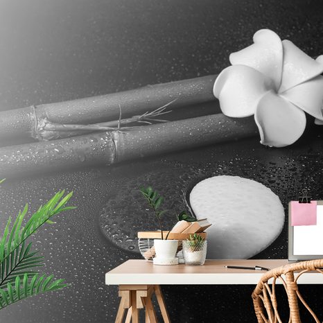SELF ADHESIVE WALL MURAL BLACK AND WHITE STILL LIFE WITH YIN AND YANG - SELF-ADHESIVE WALLPAPERS - WALLPAPERS