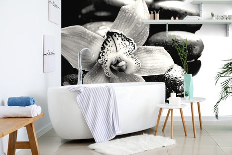 FOTOTAPETA ČERNOBÍLÁ EXOTICKÁ ORCHIDEJ - ČERNOBÍLÉ TAPETY - TAPETY