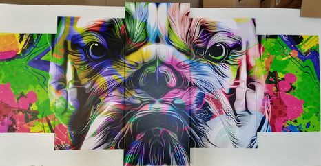 TABLOU 5-PIESE BULDOG POP-ART - TABLOURI POP ART - TABLOURI