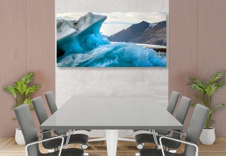 OBRAZ LEDOVCOVÉ KRY - OBRAZY PŘÍRODY A KRAJINY - OBRAZY
