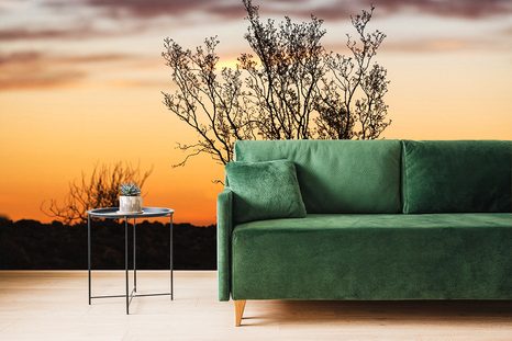 SAMOLEPÍCÍ FOTOTAPETA VĚTVIČKY V ZÁPADU SLUNCE - SAMOLEPÍCÍ TAPETY - TAPETY