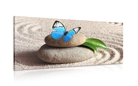 PICTURE OF A BLUE BUTTERFLY ON A ZEN STONE