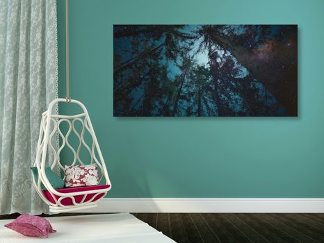 OBRAZ LES POD NOČNÍ OBLOHOU - OBRAZY STROMY A LISTY - OBRAZY