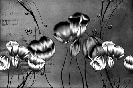 SAMOLEPÍCÍ TAPETA ČERNOBÍLÉ MÁKY V ETNO NÁDECHU - SAMOLEPÍCÍ TAPETY - TAPETY