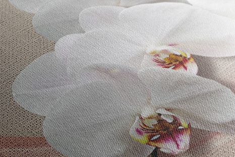 TABLOU ORHIDEE ALBĂ PE O PÂNZĂ - TABLOU FLORI - TABLOURI