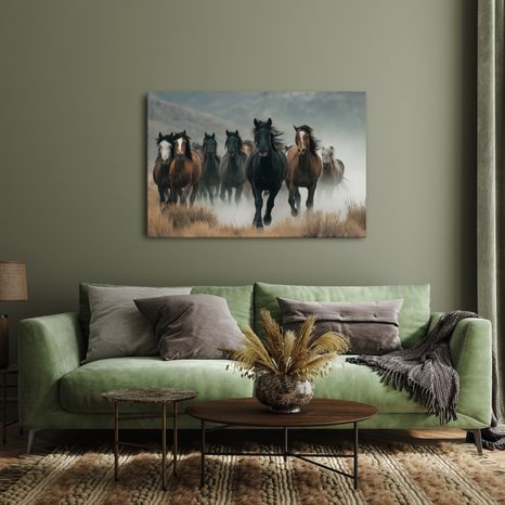 OBRAZ DIVOCÍ KONĚ V MLZE - OBRAZY KONĚ - OBRAZY