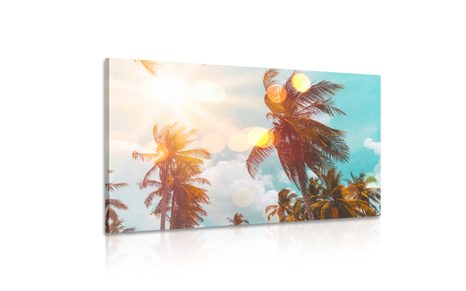 OBRAZ PAPRSKY SLUNCE MEZI PALMAMI - OBRAZY PŘÍRODY A KRAJINY - OBRAZY