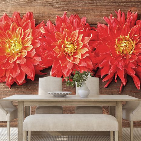 SELF ADHESIVE WALL MURAL DAHLIA FLOWERS ON WOOD - SELF-ADHESIVE WALLPAPERS - WALLPAPERS