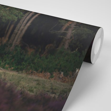 FOTOTAPETA MAJESTÁTNÍ JELEN - TAPETY - TOTÁLNÍ VÝPRODEJ 🔥