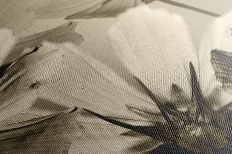 OBRAZ ZAHRADNÍ KVĚTINY V SÉPIOVÉM PROVEDENÍ - ČERNOBÍLÉ OBRAZY - OBRAZY