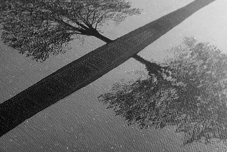 KÉP CSILLAGOS ÉG EGY MAGÁNYOS FA FELETT FEKETE FEHÉRBEN - FEKETE-FEHÉR KÉPEK - KÉPEK