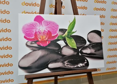 OBRAZ MASÁŽNÍ WELLNESS KAMENY - OBRAZY FENG SHUI - OBRAZY