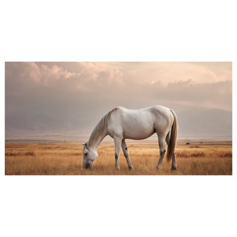 OBRAZ BÍLÝ KŮŇ V KRAJINĚ - OBRAZY KONĚ - OBRAZY