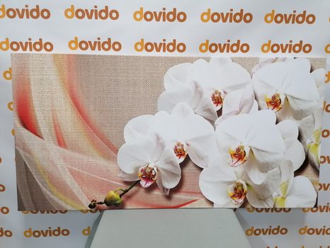 TABLOU ORHIDEE ALBĂ PE O PÂNZĂ - TABLOU FLORI - TABLOURI