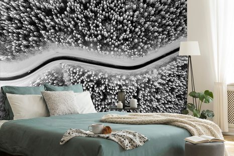 SAMOLEPÍCÍ FOTOTAPETA POHLED NA ZIMNÍ ČERNOBÍLOU KRAJINU - SAMOLEPÍCÍ TAPETY - TAPETY