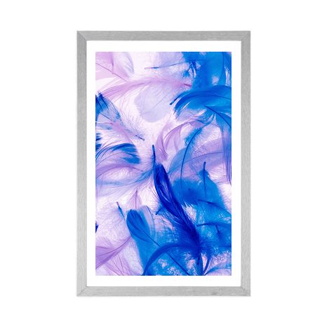 POSTER WITH MOUNT BEAUTIFUL FEATHERS - STILL LIFE - POSTERS