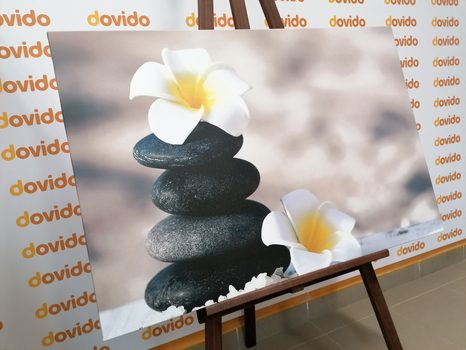 ΕΙΚΌΝΑ ΑΠΌ ΑΡΜΟΝΙΚΈΣ ΠΈΤΡΕΣ ΚΑΙ ΛΟΥΛΟΎΔΙ PLUMERIA - ΠΊΝΑΚΕΣ ΦΕΝΓΚ ΣΟΎΙ - ΠΊΝΑΚΕΣ