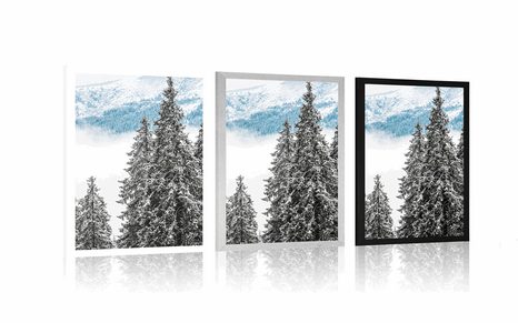 PLAGÁT ZASNEŽENÉ BOROVICOVÉ STROMY - PRÍRODA - PLAGÁTY