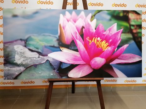 TABLOU FLOARE DE LOTUS ROZ - TABLOU FLORI - TABLOURI