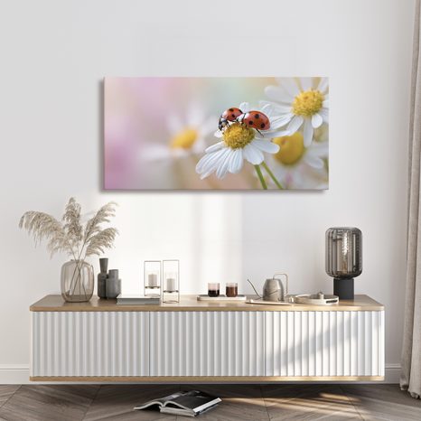 OBRAZ JARNÍ ROZKVETLÁ LOUKA - OBRAZY ZVÍŘAT - OBRAZY