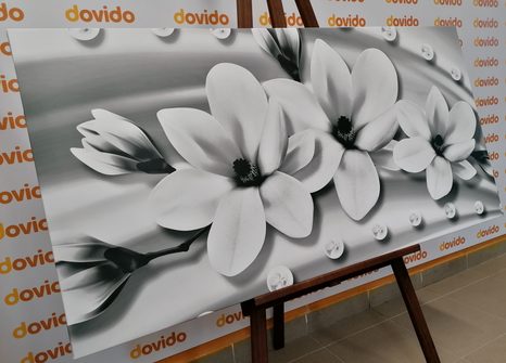 КАРТИНА НА ПЛАТНО – ЛУКСОЗНА МАГНОЛИЯ С ПЕРЛИ В ЧЕРНО-БЯЛ ВАРИАНТ - ЧЕРНО-БЕЛИ КАРТИНИ - КАРТИНИ