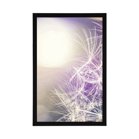 POSTER DETAILANSICHT LÖWENZAHN - BLUMEN - POSTER