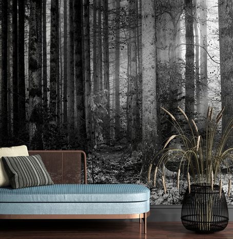 WALL MURAL BLACK AND WHITE SECRET OF THE FOREST - BLACK AND WHITE WALLPAPERS - WALLPAPERS