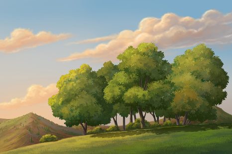 SAMOLEPÍCÍ TAPETA ZELENÁ KRAJINKA - SAMOLEPÍCÍ TAPETY - TAPETY