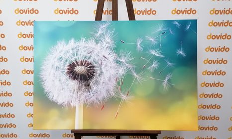 TABLOU PĂPĂDIE MAGICĂ - TABLOU FLORI - TABLOURI