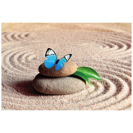 FOTÓTAPÉTA KÉK PILLANGÓ A ZEN KÖVÖN - FENG SHUI TAPÉTÁK - TAPÉTÁK