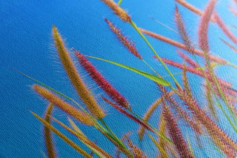 OBRAZ DZIKA TRAWA POD BŁĘKITNYM NIEBEM - OBRAZY PRZYRODY I KRAJOBRAZY - OBRAZY