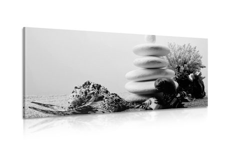 CANVAS PRINT ZEN STONES WITH SEASHELLS IN BLACK AND WHITE - BLACK AND WHITE PICTURES - PICTURES