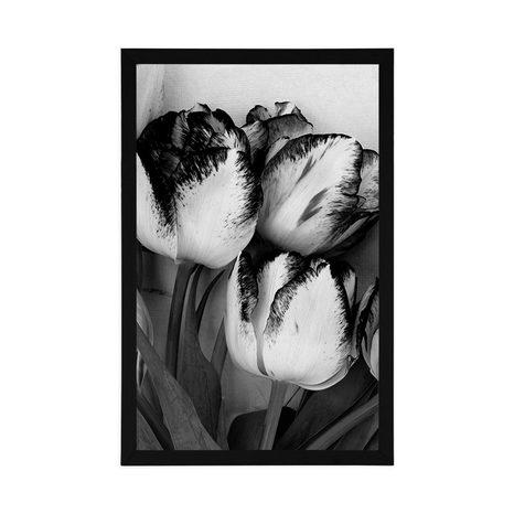 PLAKÁT JARNÍ TULIPÁNY V ČERNOBÍLÉM PROVEDENÍ - ČERNOBÍLÉ - PLAKÁTY