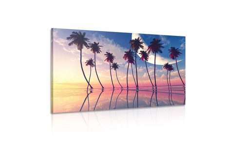 OBRAZ ZACHÓD SŁOŃCA NAD TROPIKALNYMI PALMAMI - OBRAZY PRZYRODY I KRAJOBRAZY - OBRAZY