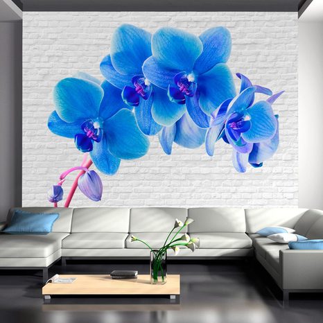PHOTO WALLPAPER BLUE ORCHID